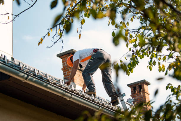Best Gutter Installation and Roofing  in Riceville, TN