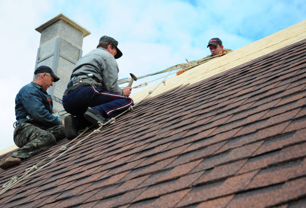 Best Roof Gutter Cleaning  in Riceville, TN